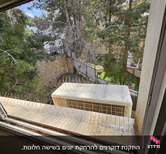 דוקרנים למניעת יונים על אדן חלון ליד מזגן
